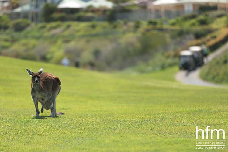 A very Aussie golfer, also enjoying the day